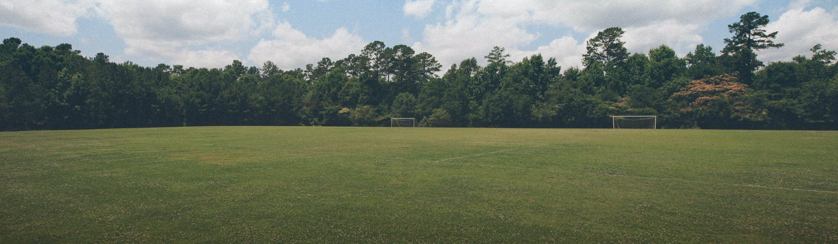 Dark green trees line the background with a summer-like blue sky and white clouds spreading